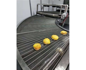 海南食品网带转弯机