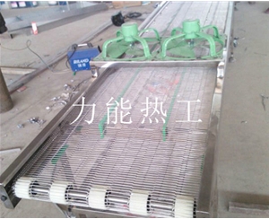 海南乙字网输送机