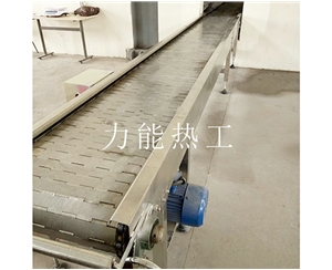 海南链板输送机